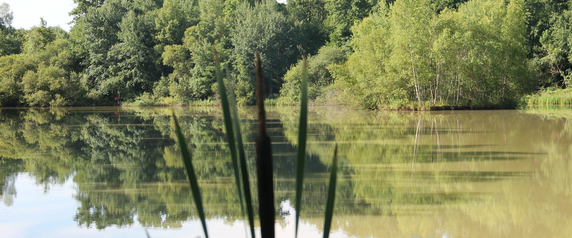 Bienvenue sur le site de la commune de Merry La Vallée (89) Yonne